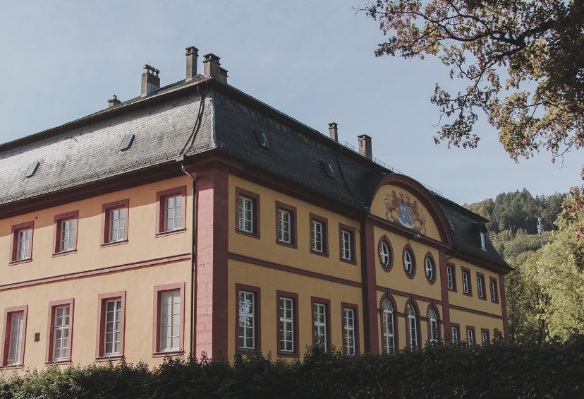 Fürstlich-Leiningensches Palais Amorbach, Germany